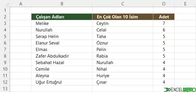 En Çok Olan 10 Adı Bulma