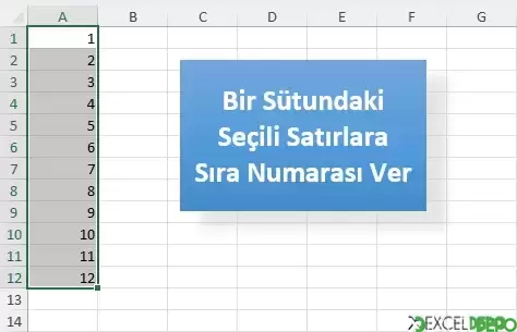 Bir Sütundaki Seçili Satırlara Vba İle Sıra Numarası Verme