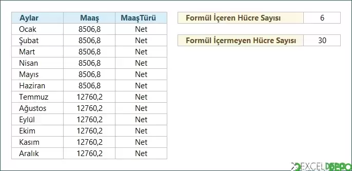 Formül İçeren Hücreleri Sayma