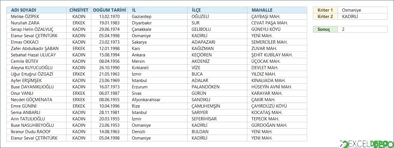 Koşula Bağlı Benzersiz Hücreleri Sayma