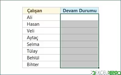 Yerleşik Onay Kutuları Ekleme Alan Seçme