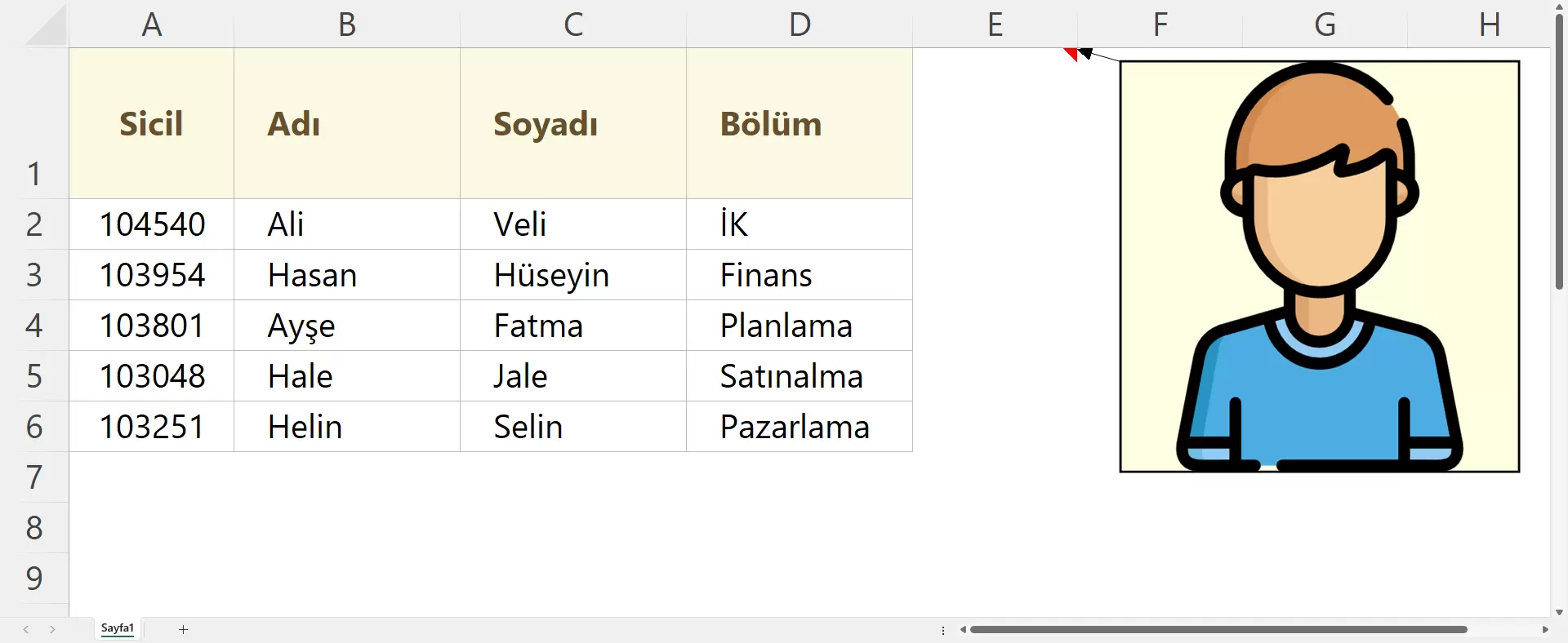 Çalışan Resimlerini Hücredeki Açıklamada Gösterme