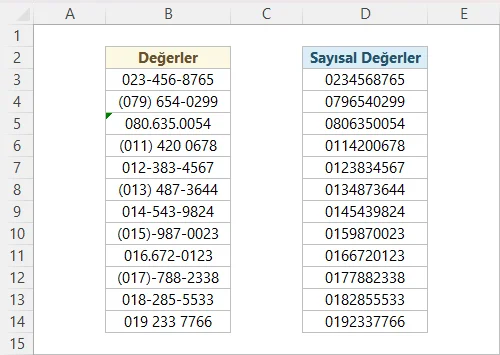 Sayısal Olmayan Karakterleri Silme