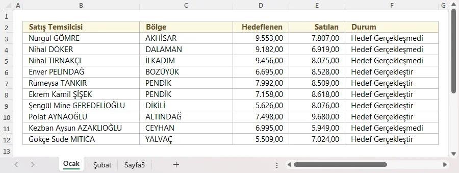 Ocak Ayı Satış Verileri