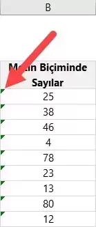 Metin Biçiminde Olan Sayıları Düzeltme