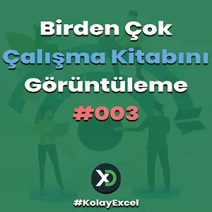 Birden Çok Çalışma Kitabını Görüntüleme