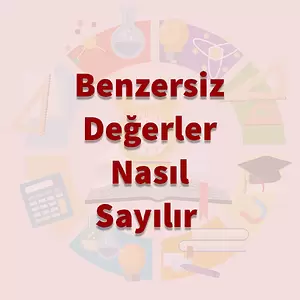 BENZERSİZ Değerleri Saymayı Öğrenme