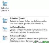 Bölmeleri Dondur Seçenekleri