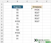 Hatalı Hücreler Yok Sayılarak Ortalama Alma-1.webp