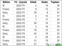 Satırlarda Tutulan Çalışan Bilgileri