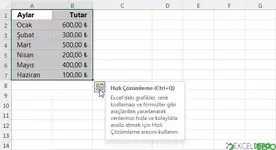 "Hızlı Çözümleme Penceresini Açma"