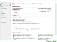 Excel Seçenekleri