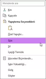 Excel Satır Ekleme Nasıl Yapılır