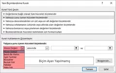 Hücre Değeri Seçimi