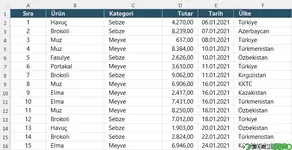 Özet Tablo veri listesi