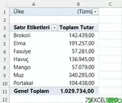 Excel Özet Tablo Görünümü