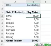 Özet Tabloda Sayılan Değer Alanı