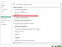 Excel Gelişmiş Seçenekler Penceresi