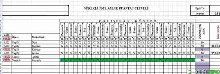 Userform ile girildiğinde.webp